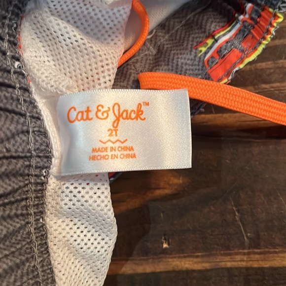 2T Swimsuit for Boys - Picture 6 of 6